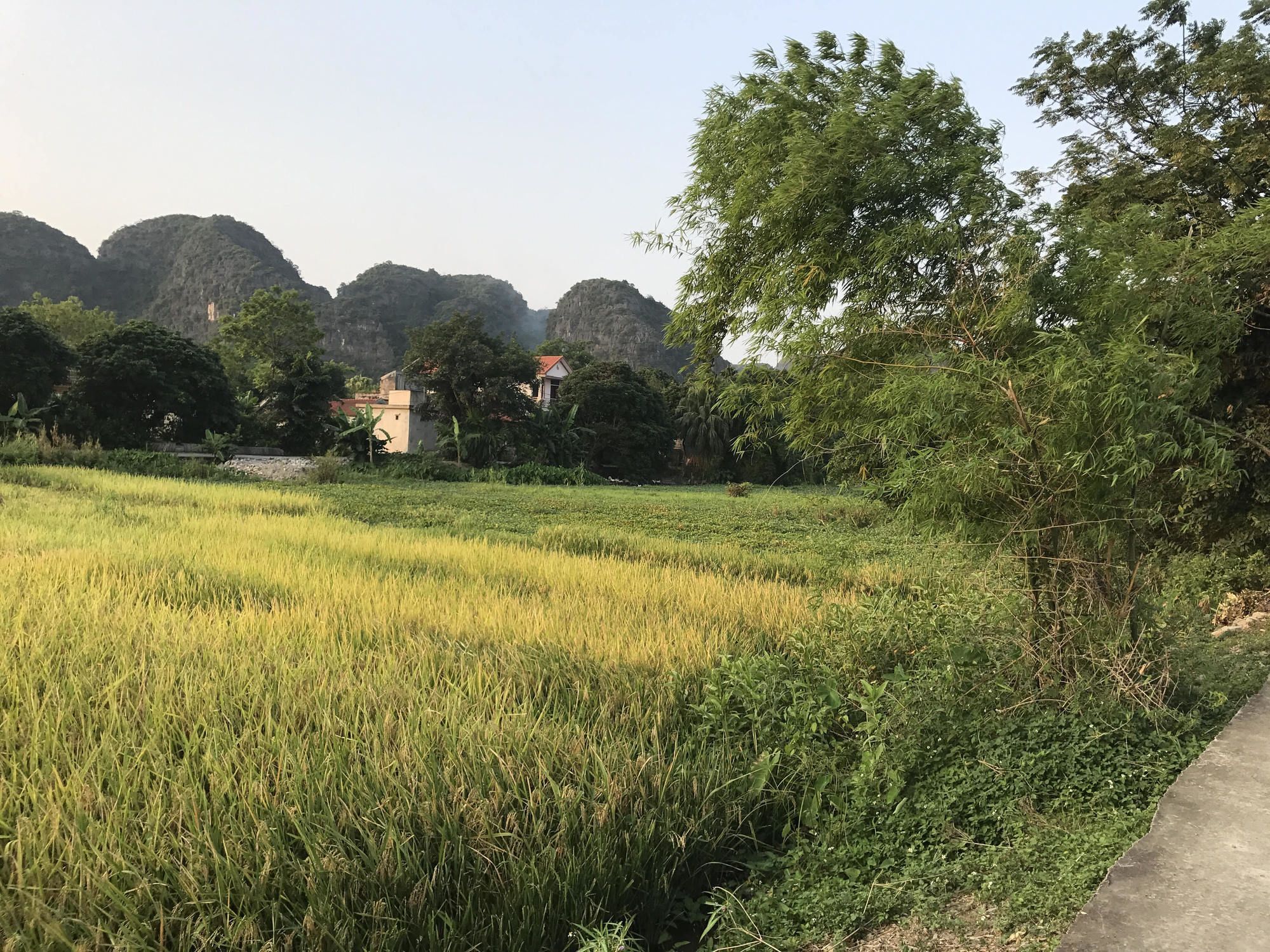 Tam Coc Garden Homestay Ninh Binh Exterior photo