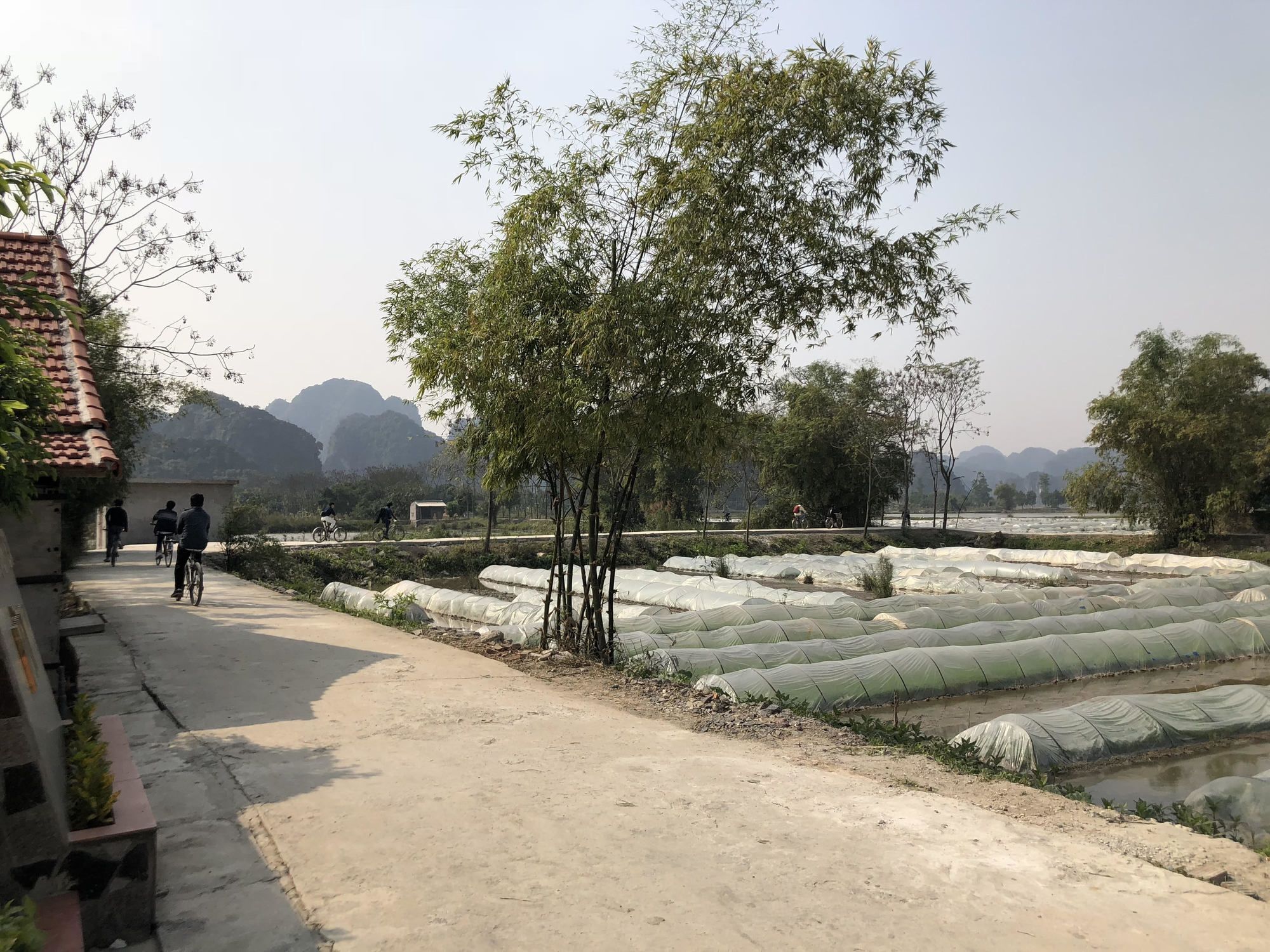 Tam Coc Garden Homestay Ninh Binh Exterior photo
